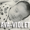 Ava-Violet