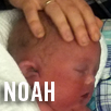 Noah Daly Devine